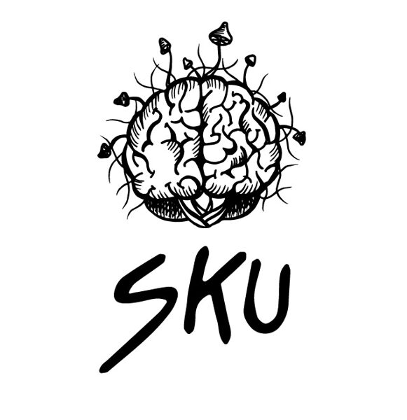 Skudra